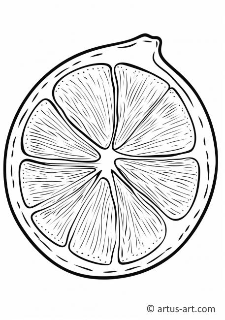 Kreslení plátku citronu